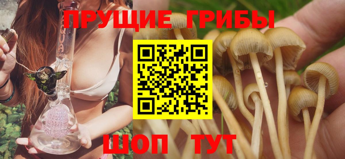 Псилоцибиновые грибы Magic Shrooms  Вход с VPN  Миллерово  Галлюциногенные грибы GOLDEN TEACHER 