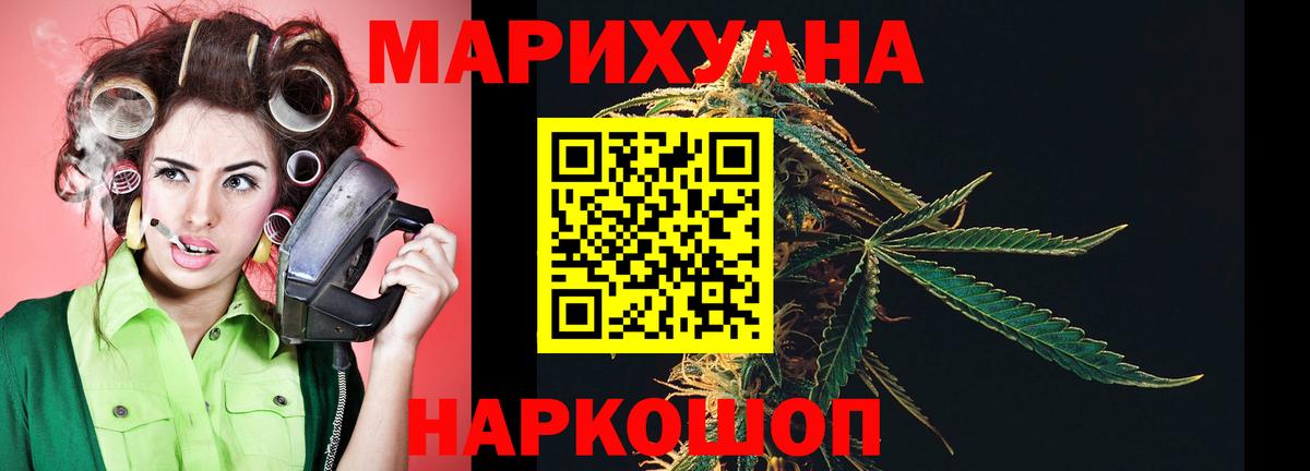 Бошки марихуана гибрид  Вход с VPN  Конопля Bruce Banner  Миллерово  Конопля конопля  Каннабис MAZAR 
